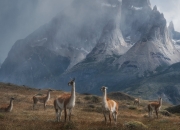 爱游戏官方入口-当北境之光刺穿格子军团，克瓦拉茨赫利亚用一己之力重写比赛剧本