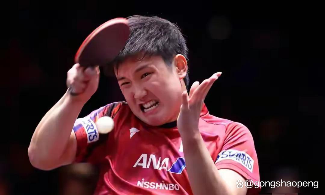 瑞典队轻取韩国队，张本智和点燃赛场