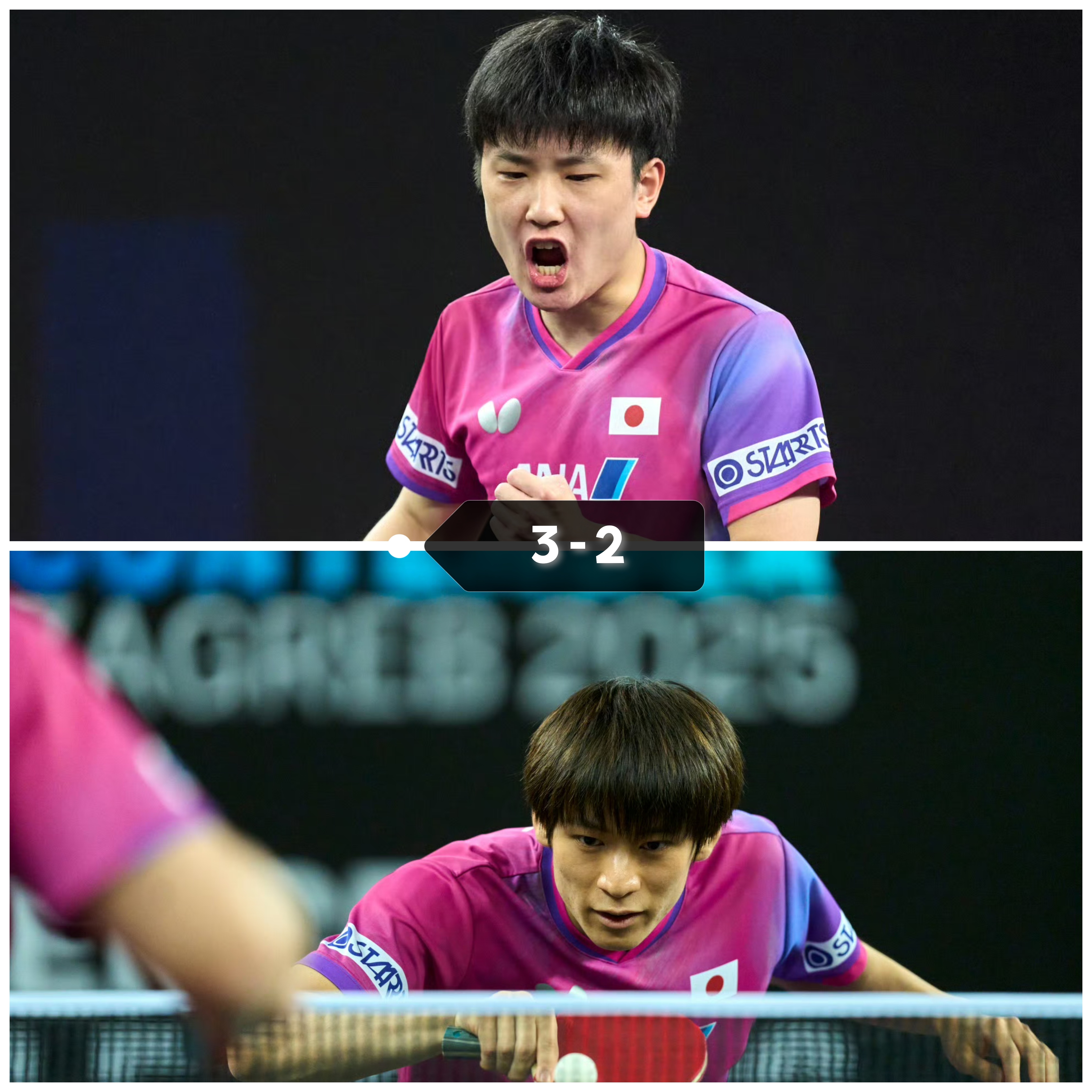 瑞典队轻取韩国队，张本智和点燃赛场