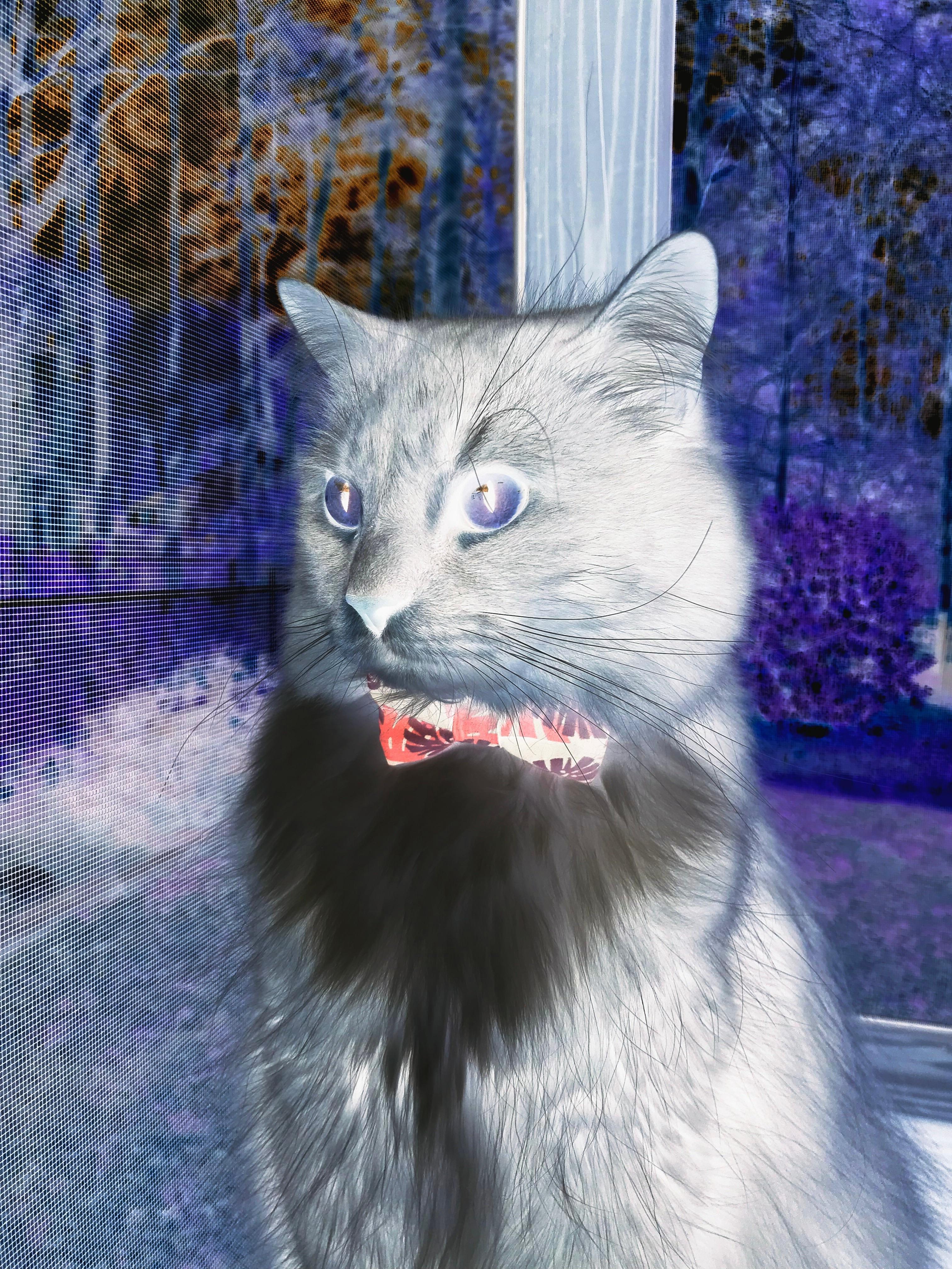 欧冠决赛之夜,托尼·克罗斯的无解艺术